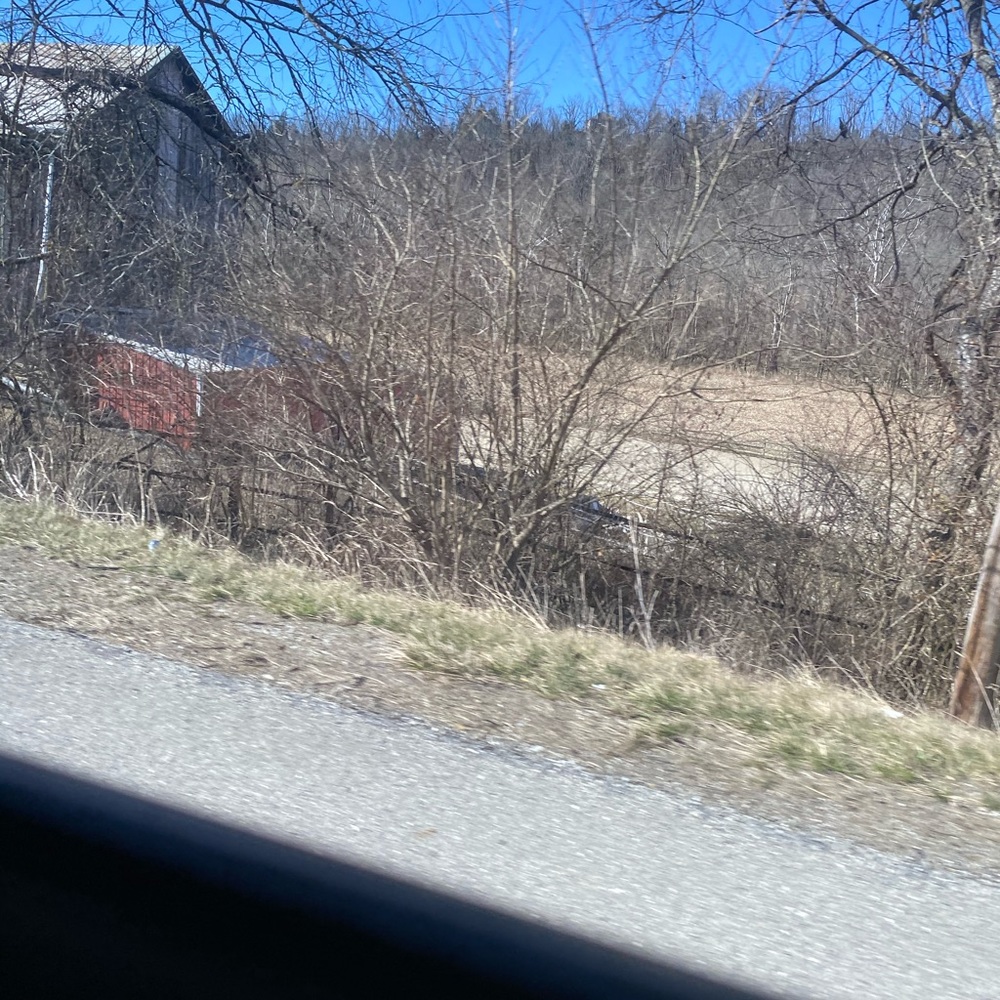 Meet your Posher, Liz